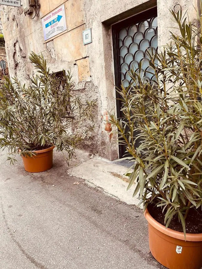 Cathedral House Design Apartment Palermo